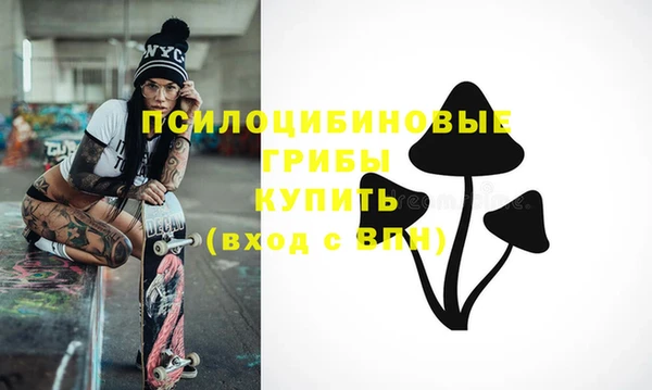 стафф Пролетарск