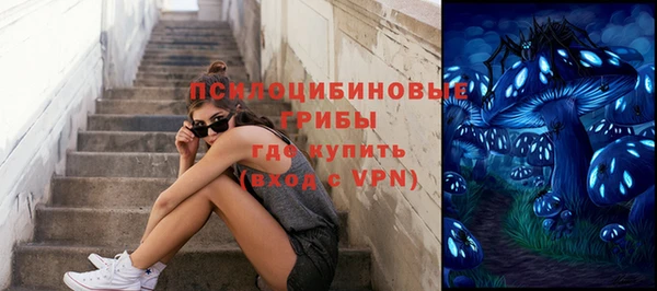 таблы Приозерск