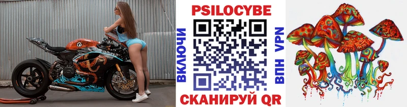Купить  Георгиевск  Псилоцибиновые грибы Magic Shrooms 